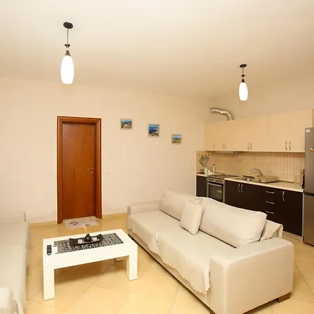 Apartment Anemone *